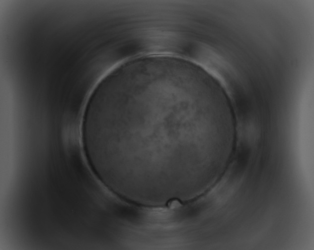 X0000095671333200801081201