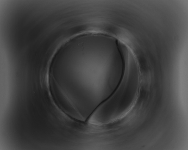 X0000095671334200801081201
