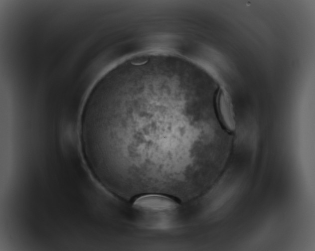 X0000095671335200801081201