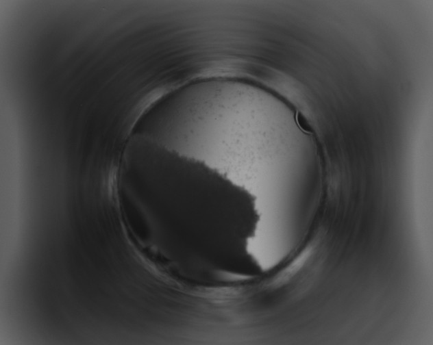 X0000095671337200801081201
