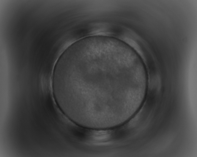 X0000095671338200801081201