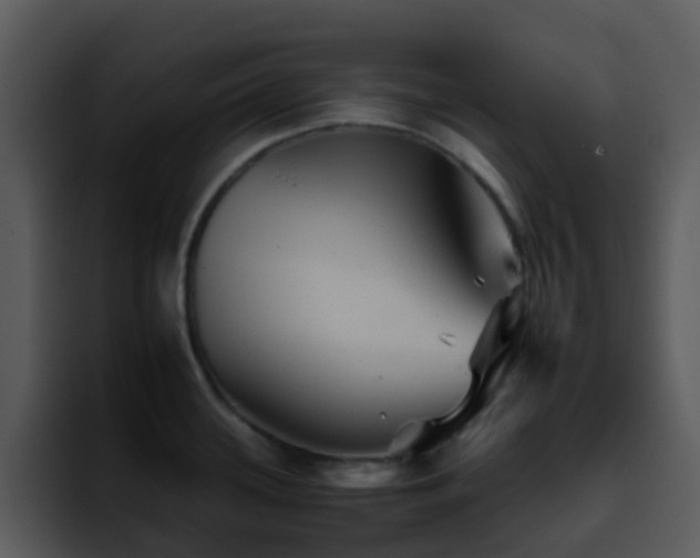 X0000095671339200801081201