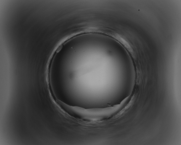 X0000095671342200801081201