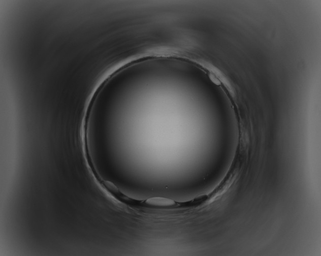 X0000095671343200801081201