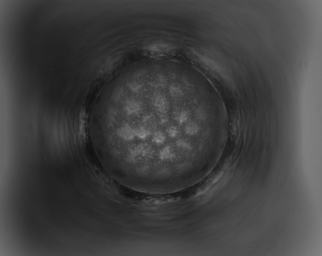 X0000095671346200801081200