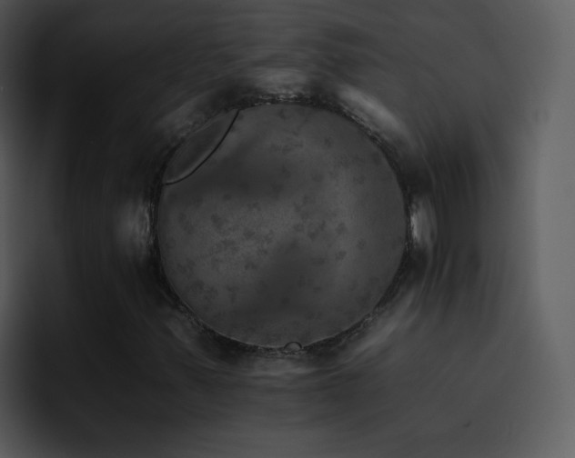 X0000095671347200801081200