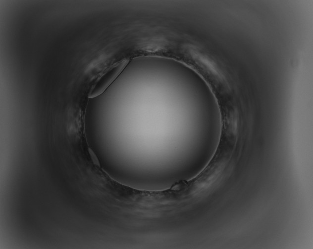 X0000095671349200801081200