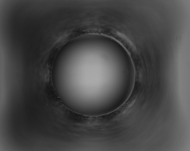 X0000095671350200801081200