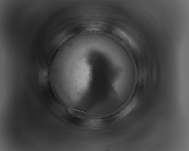 X0000095671353200801081200