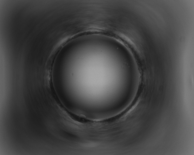 X0000095671355200801081200