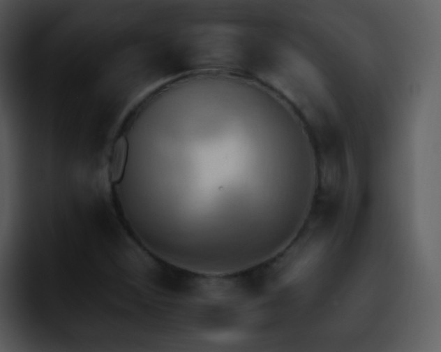 X0000095671356200801081200