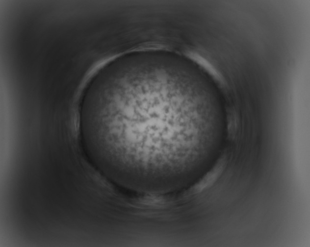 X0000095671358200801081200