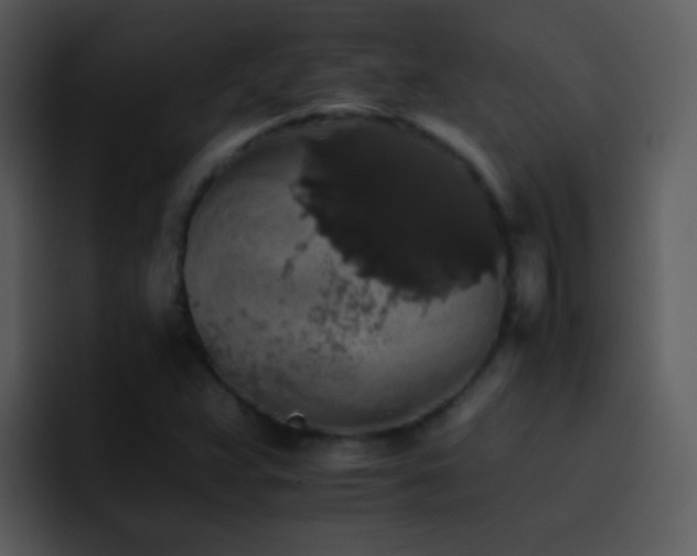 X0000095671359200801081200