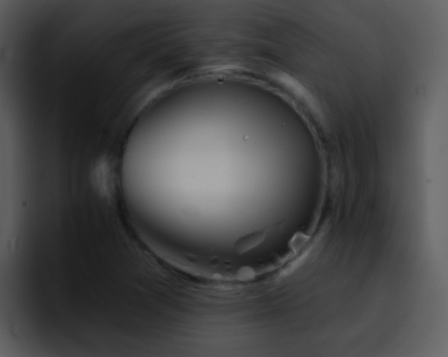 X0000095671361200801081200