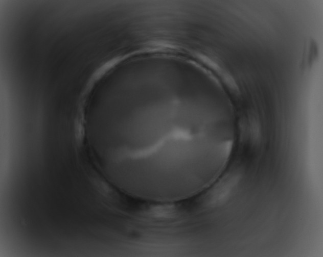 X0000095671363200801081200