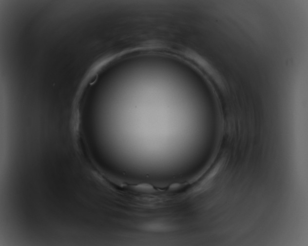 X0000095671366200801081200