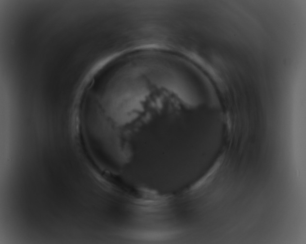 X0000095671367200801081200