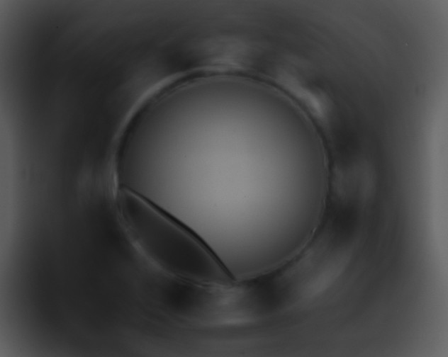 X0000095671368200801081200