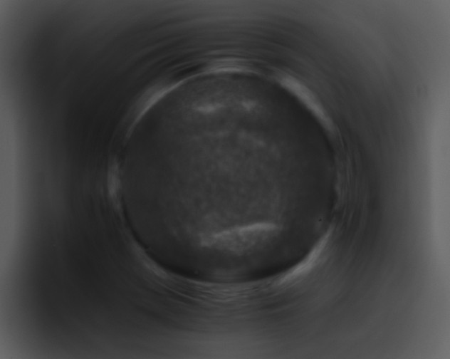 X0000095671369200801081200