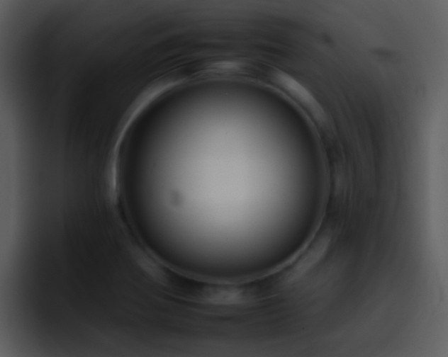 X0000095671370200801081200