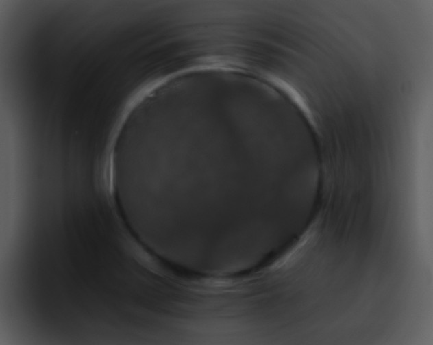 X0000095671371200801081200