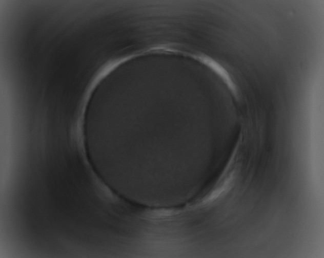 X0000095671373200801081200
