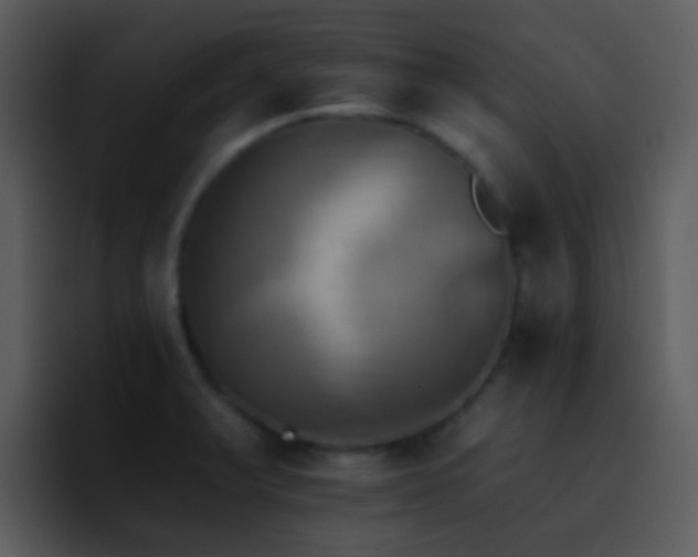X0000095671375200801081200