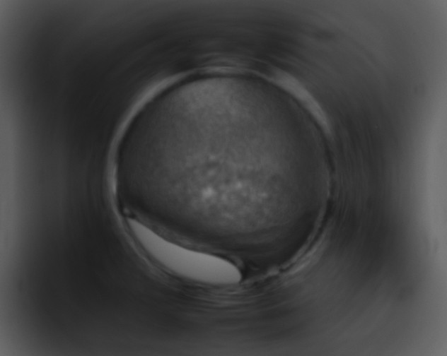 X0000095671376200801081200