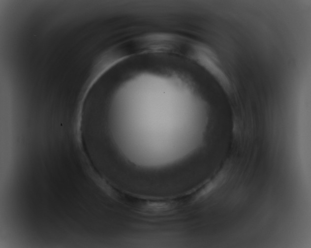 X0000095671378200801081200