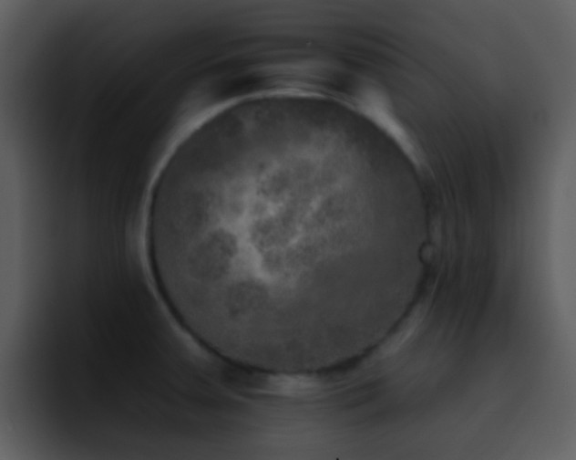 X0000095671379200801081200