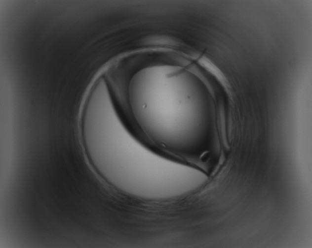 X0000095671380200801081200