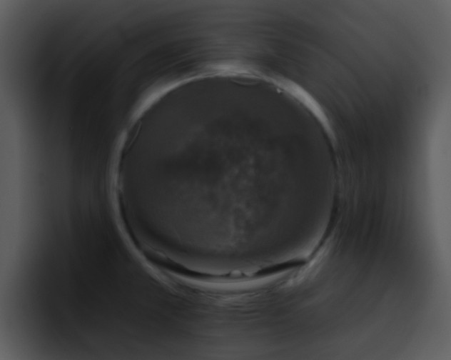 X0000095671381200801081200