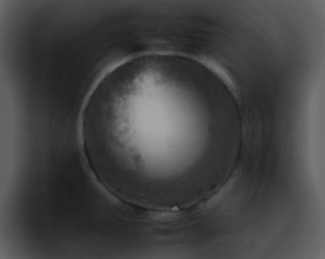X0000095671382200801081200