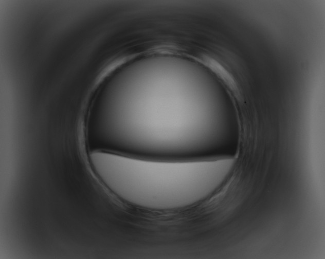 X0000095671384200801081200