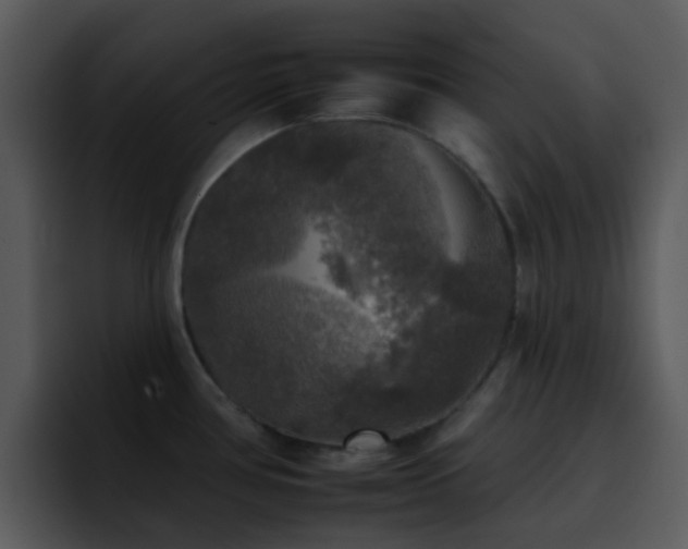 X0000095671386200801081200