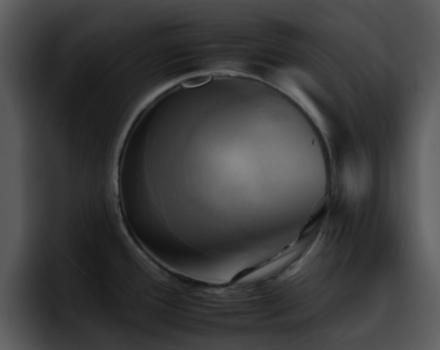 X0000095671388200801081200