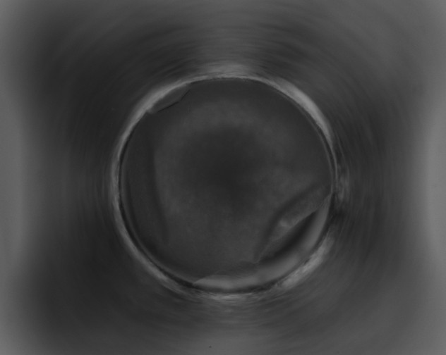 X0000095671389200801081200