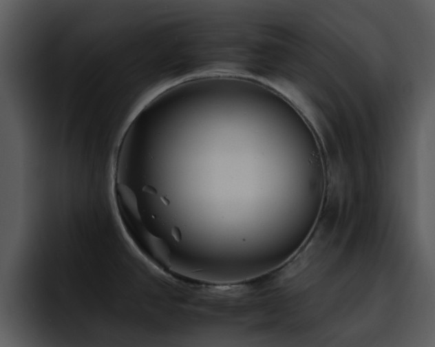 X0000095671390200801081200