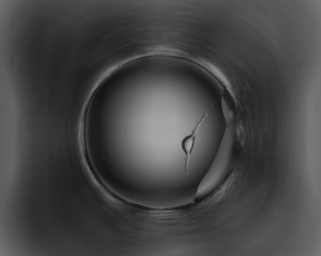 X0000095671391200801081200