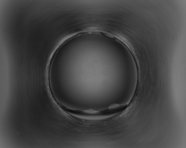 X0000095671392200801081200