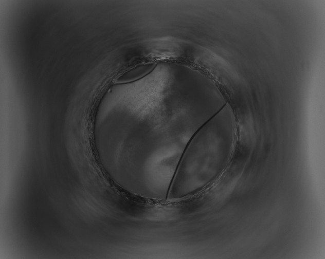 X0000095671393200801081159