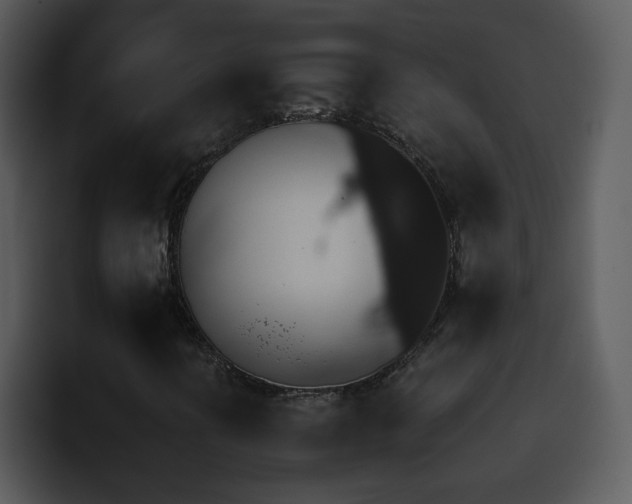 X0000095671394200801081159
