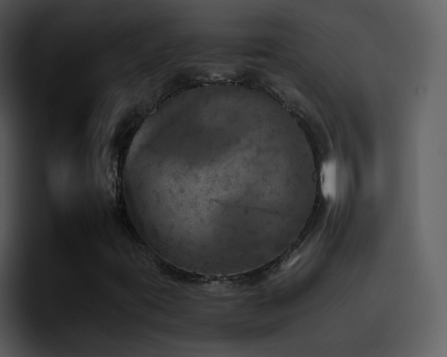 X0000095671395200801081159