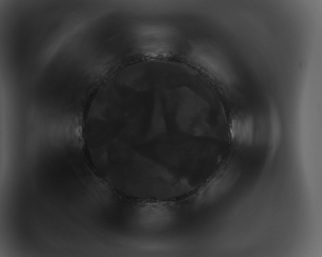X0000095671396200801081159
