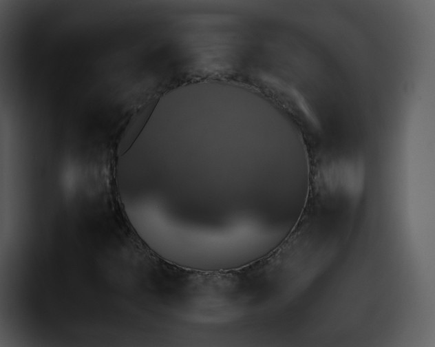 X0000095671397200801081159