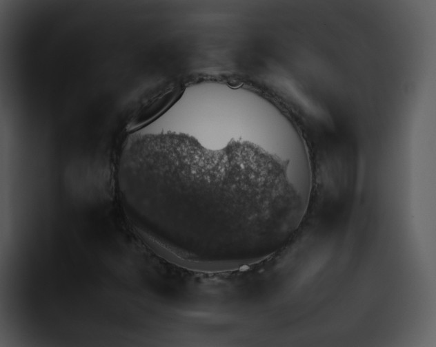X0000095671398200801081159