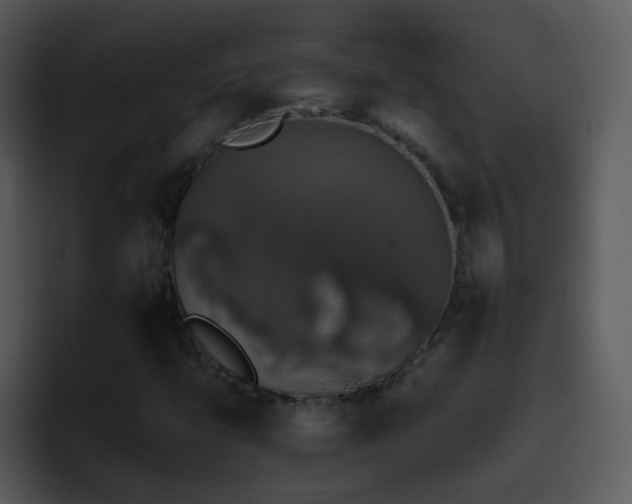 X0000095671399200801081159