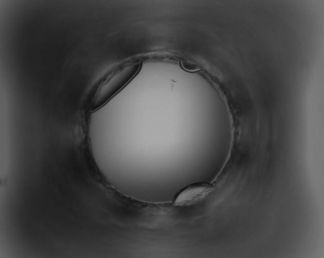 X0000095671400200801081159