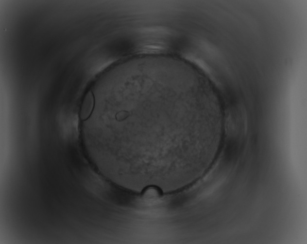 X0000095671402200801081159