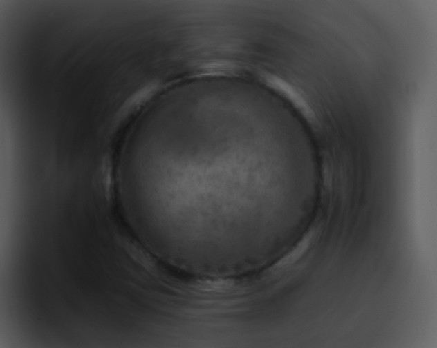 X0000095671403200801081159